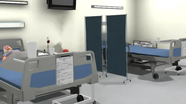 Virtuelles Krankenhauszimmer mit zwei Pflegebetten