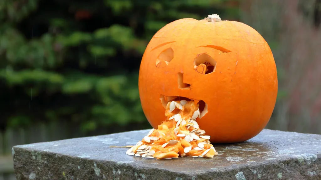 Calabaza tallada expulsando su pulpa