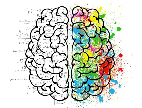 Illustration of a brain with one multicolored half