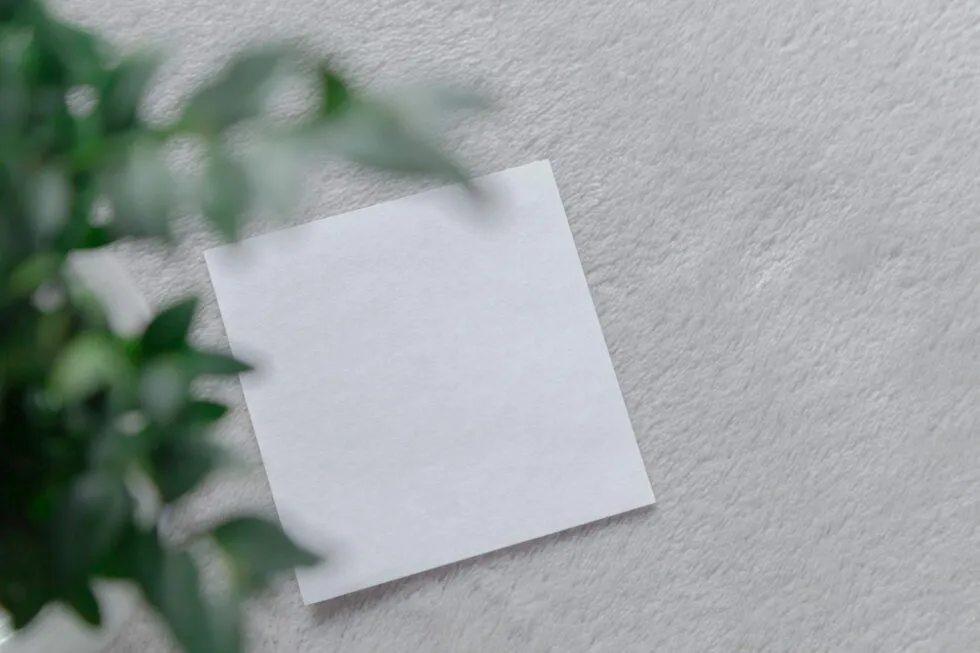 Carte blanche posée sur une surface claire près d’une plante