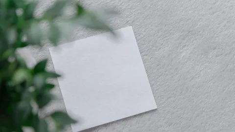 Blank card on a light surface beside a plant