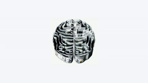 Representation of a human brain on a white background